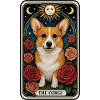 Corgi