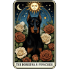 Dobermann