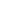 Cheetah Floral Graphic
