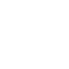 Hedgehog Sunglasses