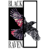 black raven crow bird