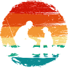 Sunset Silhouette Angelduo
