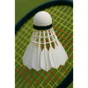 Sport - Badminton