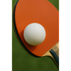 Sport - Table tennis