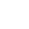 White Wizard's Skull