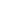 Runes d’aigle Vegvisir