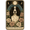 Englischer Springer Spaniel