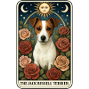 Jack Russell Terrier