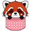 Kawaii Red Panda