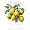 Limone Citrus Italia Design
