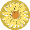 Sunflower - Summer, Sun, Good Mood
