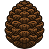 Pine cone