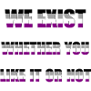 We Exist - Drapeau Asexué