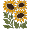 Boho Sunflowers