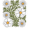 Boho Daisies