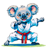 koala doing karate