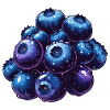 Blueberries