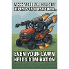lawn needs domination?