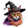 Chat sorcier