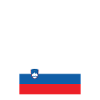 This my Slovenia costume