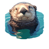 Sea otter