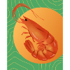 Maximalist Shrimp