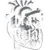 Thrash Metal heart