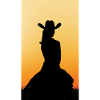 Western Rider Sunset