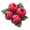 raspberries