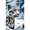 Schneeleopard | Leopard | Raubtier