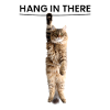 Hæng ud – Cute Cat Edition