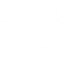 White Kitten Yin and Yang