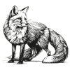 Renard – Garde forestier