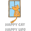 Chat heureux, vie heureuse