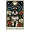 Zwergschnauzer