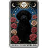 Portugiesischer Wasserhund
