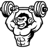 Monkey Bodybuilding Muscles