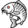 Carp Fish