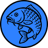 Carp Fish