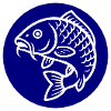 Carp Fish Icon