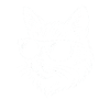 Cool cat with sunglasses