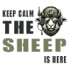 Sheep – Keep Calm Design