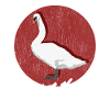 Cygnes Cygnes Swan Lover Cadeau