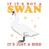 Cadeau d’amoureux de cygne cygne