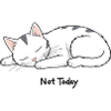 Not Today – Faulheits-Katze mit Haltung