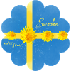 Sweden Flowers Midsummer
