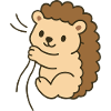 Bébé hérisson câlin