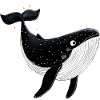 Little whale