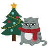 Chat Noël