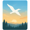 Freebird forest